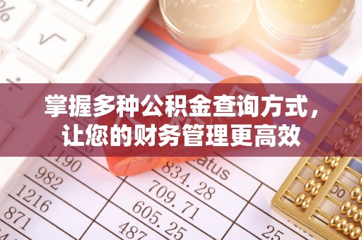 温县掌握多种公积金查询方式，让您的财务管理更高效