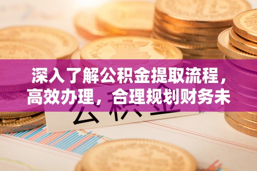 温县深入了解公积金提取流程，高效办理，合理规划财务未来