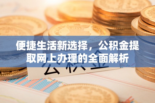 温县便捷生活新选择，公积金提取网上办理的全面解析