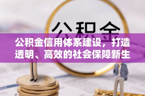 温县公积金信用体系建设，打造透明、高效的社会保障新生态