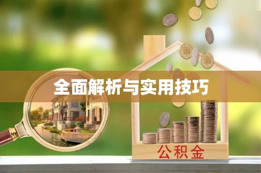 温县全面解析与实用技巧