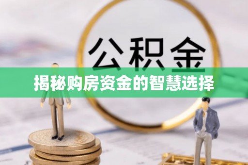温县揭秘购房资金的智慧选择