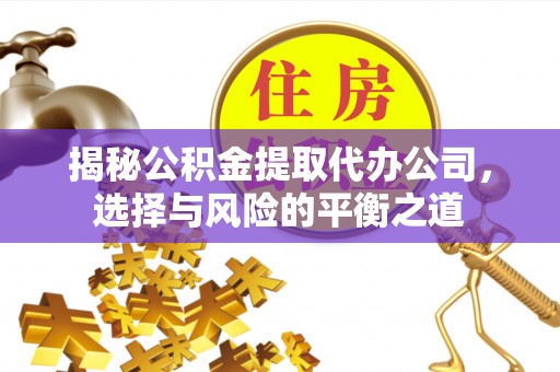 温县揭秘公积金提取代办公司，选择与风险的平衡之道