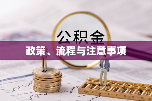 温县政策、流程与注意事项