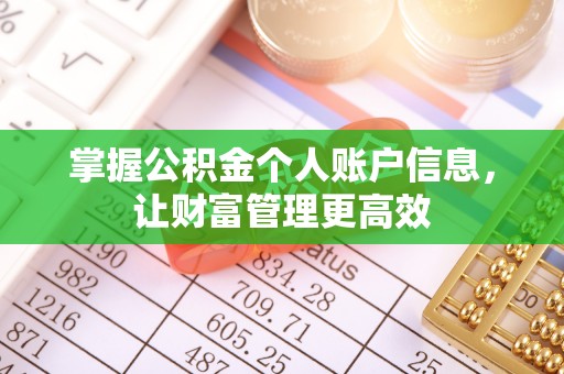 温县掌握公积金个人账户信息，让财富管理更高效