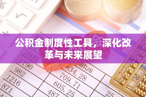 温县公积金制度性工具，深化改革与未来展望