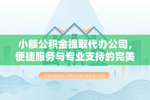 温县小额公积金提取代办公司，便捷服务与专业支持的完美结合