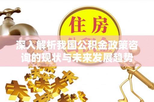 温县深入解析我国公积金政策咨询的现状与未来发展趋势