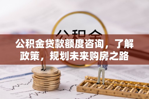 温县公积金贷款额度咨询，了解政策，规划未来购房之路