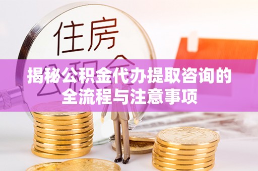 温县揭秘公积金代办提取咨询的全流程与注意事项