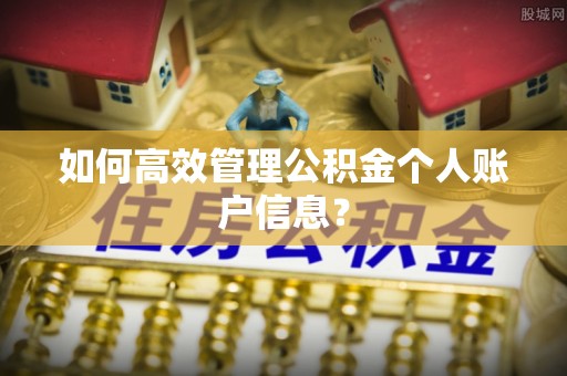 温县如何高效管理公积金个人账户信息？