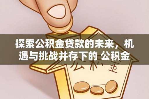 温县探索公积金贷款的未来，机遇与挑战并存下的 公积金贷款风险防控
