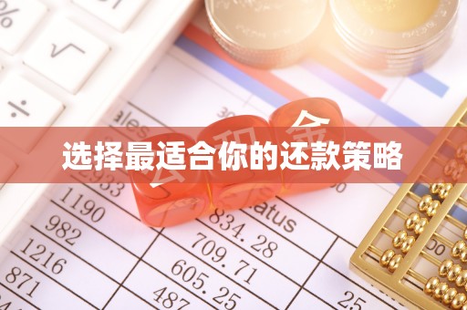 温县选择最适合你的还款策略