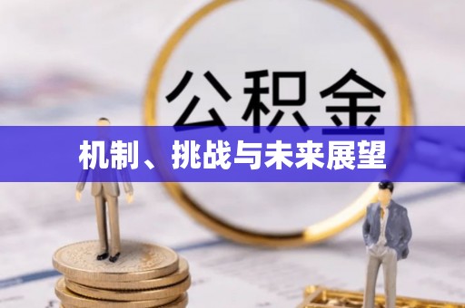 温县机制、挑战与未来展望